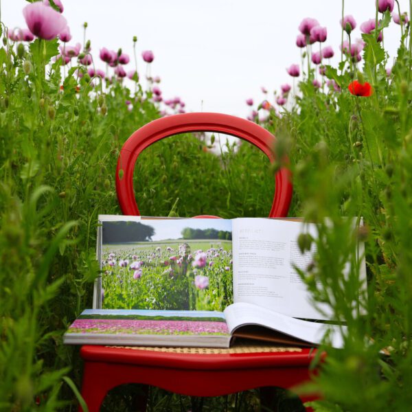 Das Buch BODYPAINTING IN NATURE von Künstler Jörg Düsterwald wird mit einem roten Stuhl an einem Originalplatz des Kunstprojektes NATURE ART gezeigt.