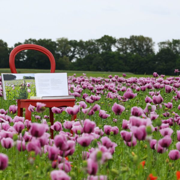 Das Buch BODYPAINTING IN NATURE von Künstler Jörg Düsterwald wird mit einem roten Stuhl an einem Originalplatz des Kunstprojektes NATURE ART gezeigt.