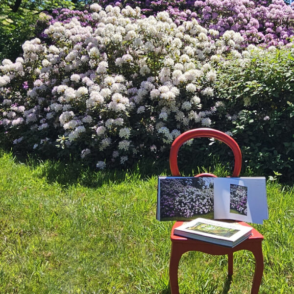 Das Buch BODYPAINTING IN NATURE von Künstler Jörg Düsterwald wird mit einem roten Stuhl an einem Originalplatz des Kunstprojektes NATURE ART gezeigt.