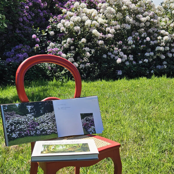 Das Buch BODYPAINTING IN NATURE von Künstler Jörg Düsterwald wird mit einem roten Stuhl an einem Originalplatz des Kunstprojektes NATURE ART gezeigt.