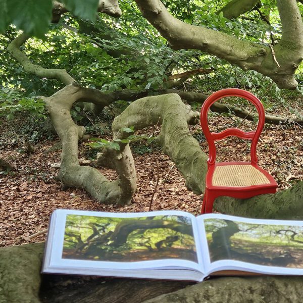 Das Buch BODYPAINTING IN NATURE von Künstler Jörg Düsterwald wird mit einem roten Stuhl an einem Originalplatz des Kunstprojektes NATURE ART gezeigt.