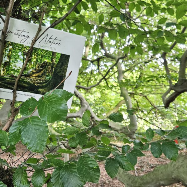 Das Buch BODYPAINTING IN NATURE von Künstler Jörg Düsterwald wird mit einem roten Stuhl an einem Originalplatz des Kunstprojektes NATURE ART gezeigt.
