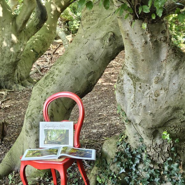 Das Buch BODYPAINTING IN NATURE von Künstler Jörg Düsterwald wird mit einem roten Stuhl an einem Originalplatz des Kunstprojektes NATURE ART gezeigt.
