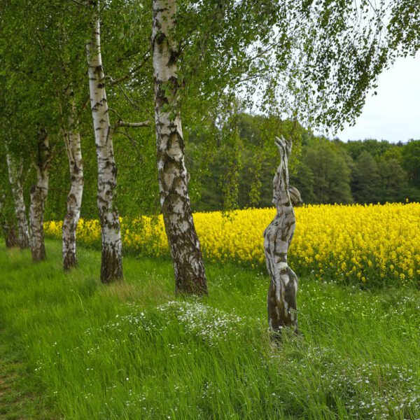 Birken am Rapsfeld. Ein Motiv von dem Körperkunstprojekt NATURE ART des Künstlers Jörg Düsterwald mit einem Bodypaintingmodell.