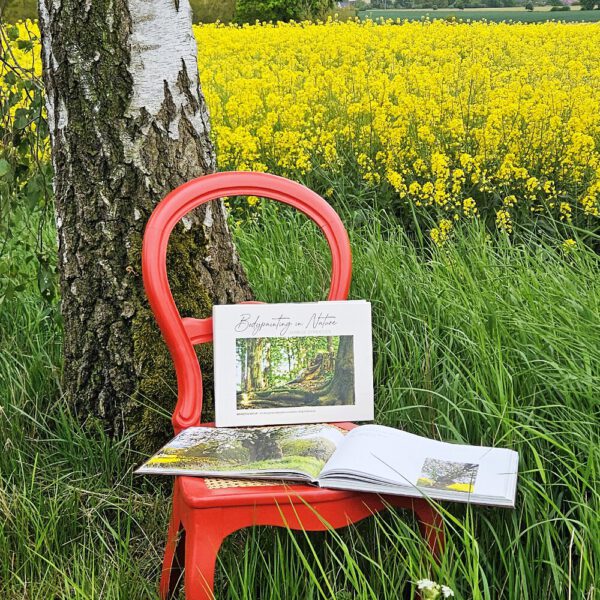 Das Buch BODYPAINTING IN NATURE von Künstler Jörg Düsterwald wird mit einem roten Stuhl an einem Originalplatz des Kunstprojektes NATURE ART gezeigt.
