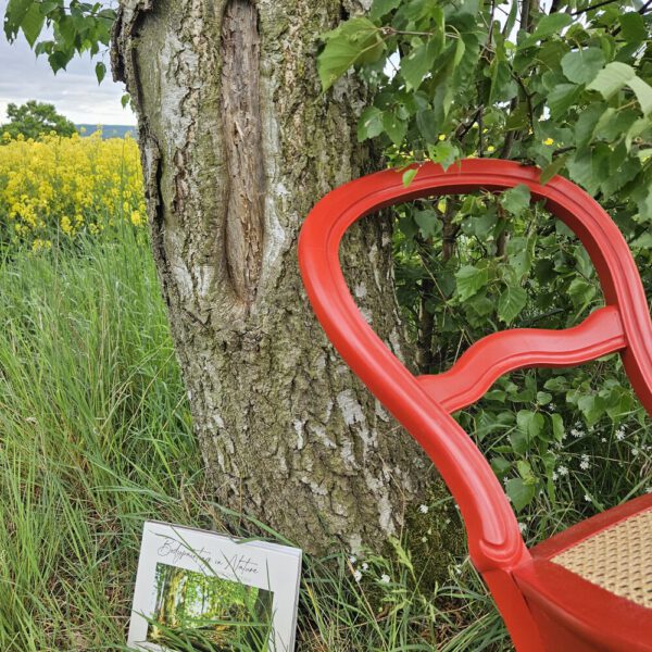 Das Buch BODYPAINTING IN NATURE von Künstler Jörg Düsterwald wird mit einem roten Stuhl an einem Originalplatz des Kunstprojektes NATURE ART gezeigt.