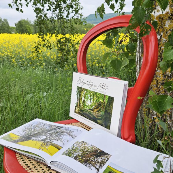 Das Buch BODYPAINTING IN NATURE von Künstler Jörg Düsterwald wird mit einem roten Stuhl an einem Originalplatz des Kunstprojektes NATURE ART gezeigt.