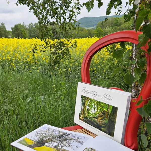 Das Buch BODYPAINTING IN NATURE von Künstler Jörg Düsterwald wird mit einem roten Stuhl an einem Originalplatz des Kunstprojektes NATURE ART gezeigt.