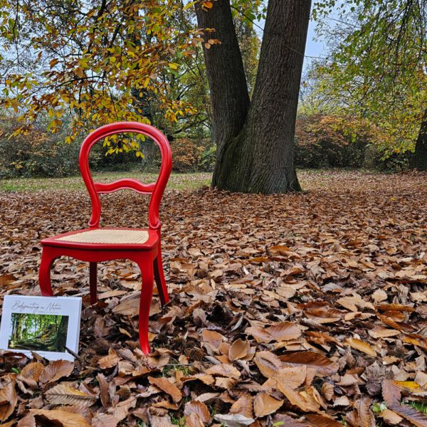 Das Buch BODYPAINTING IN NATURE von Künstler Jörg Düsterwald wird mit einem roten Stuhl an einem Originalplatz des Kunstprojektes NATURE ART gezeigt.