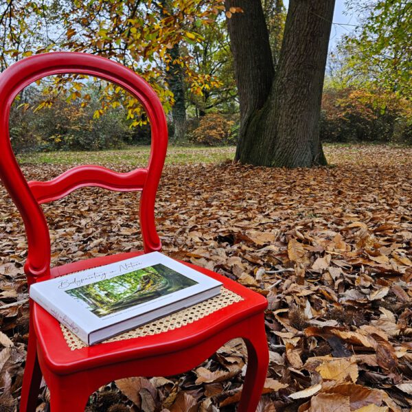 Das Buch BODYPAINTING IN NATURE von Künstler Jörg Düsterwald wird mit einem roten Stuhl an einem Originalplatz des Kunstprojektes NATURE ART gezeigt.