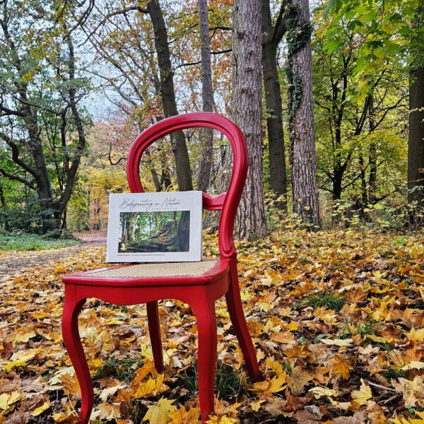 Das Buch BODYPAINTING IN NATURE von Künstler Jörg Düsterwald wird mit einem roten Stuhl an einem Originalplatz des Kunstprojektes NATURE ART gezeigt.