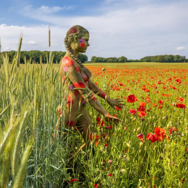 Ein bemaltes Fotomodell in einem roten Mohnfeld ergibt FARBIGE SYMBIOSEN. Ein Motiv von dem Körperkunstprojekt NATURE ART des Künstlers Jörg Düsterwald mit einem Bodypaintingmodell.