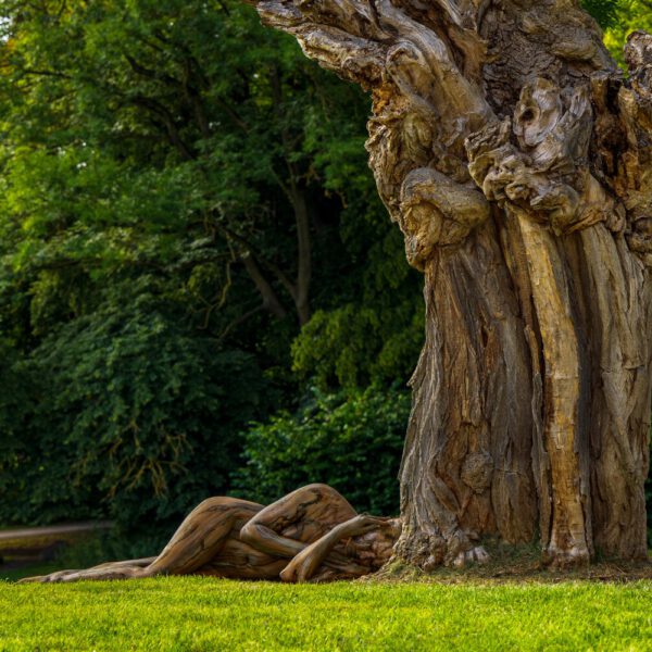 Akazie im Park. Ein Motiv aus dem Körperkunstprojekt NATURE ART des Künstlers Jörg Düsterwald mit einem Bodypaintingmodell.