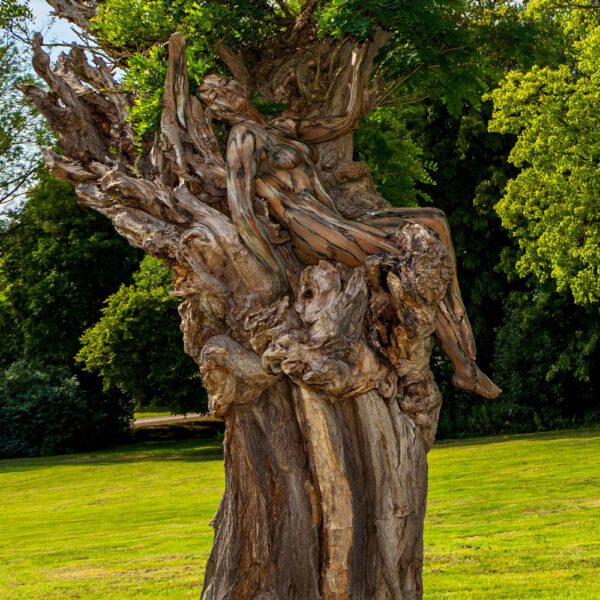 Akazie im Park. Ein Motiv aus dem Körperkunstprojekt NATURE ART des Künstlers Jörg Düsterwald mit einem Bodypaintingmodell.