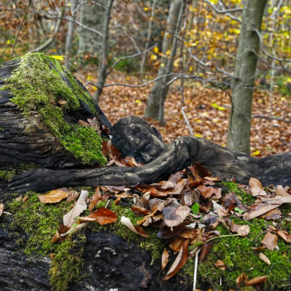 Herbstlaub-Motiv aus dem Körperkunstprojekt NATURE ART des Künstlers Jörg Düsterwald.