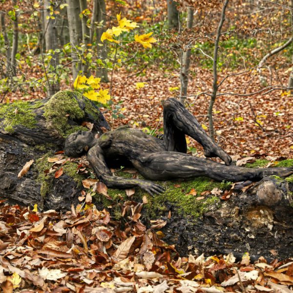 Herbstlaub-Motiv aus dem Körperkunstprojekt NATURE ART des Künstlers Jörg Düsterwald.