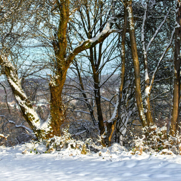 Winter-Motiv von dem Körperkunstprojekt NATURE ART des Künstlers Jörg Düsterwald mit einem Bodypaintingmodell.