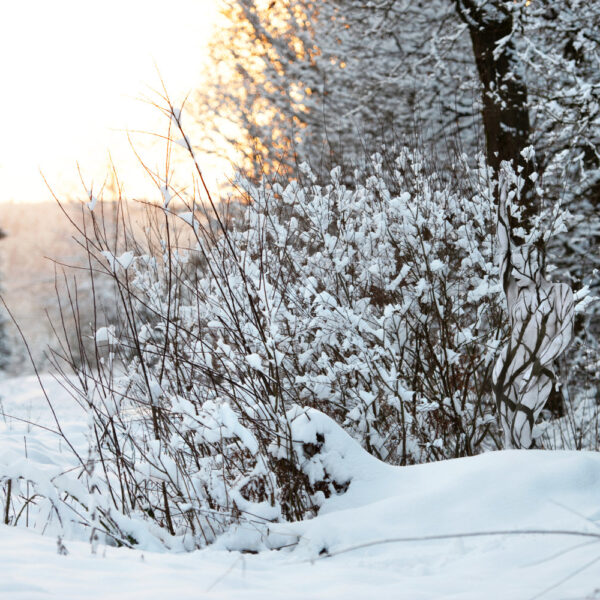 Winter-Motiv von dem Körperkunstprojekt NATURE ART des Künstlers Jörg Düsterwald mit einem Bodypaintingmodell.
