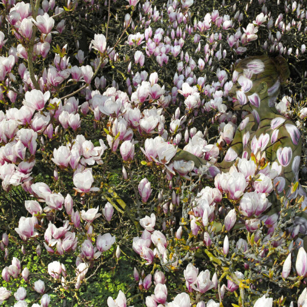 Magnolien-Motiv von dem Körperkunstprojekt NATURE ART des Künstlers Jörg Düsterwald mit einem Bodypaintingmodell.