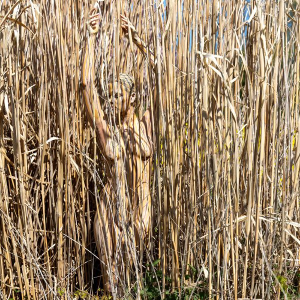 Schilf-Motiv von dem Körperkunstprojekt NATURE ART des Künstlers Jörg Düsterwald mit einem bemalten Fotomodell.
