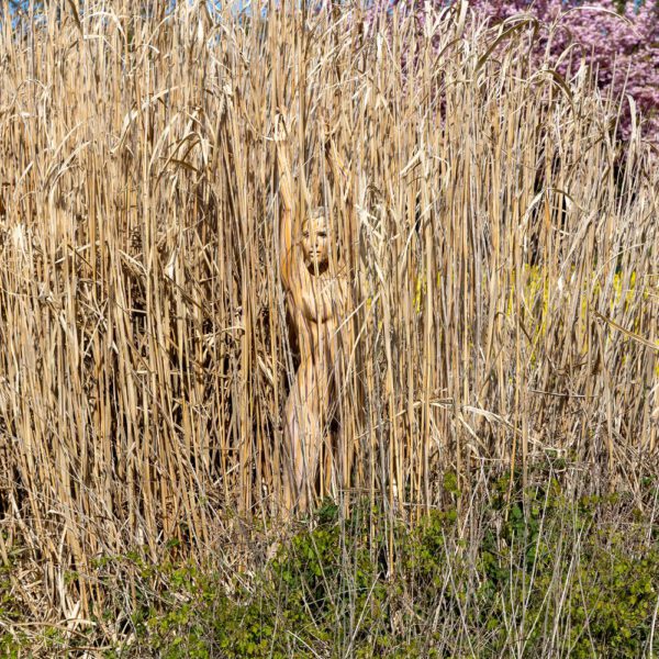 Schilf-Motiv von dem Körperkunstprojekt NATURE ART des Künstlers Jörg Düsterwald mit einem bemalten Fotomodell.