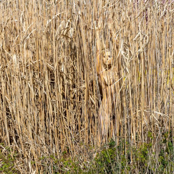 Schilf-Motiv von dem Körperkunstprojekt NATURE ART des Künstlers Jörg Düsterwald mit einem bemalten Fotomodell.