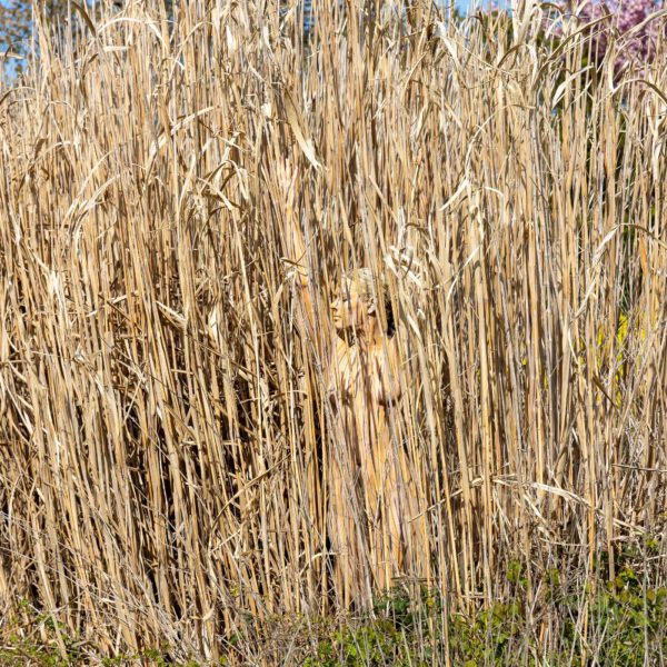 Schilf-Motiv von dem Körperkunstprojekt NATURE ART des Künstlers Jörg Düsterwald mit einem bemalten Fotomodell.