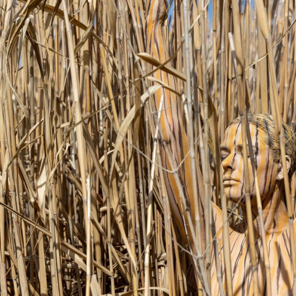 Schilf-Motiv von dem Körperkunstprojekt NATURE ART des Künstlers Jörg Düsterwald mit einem bemalten Fotomodell.