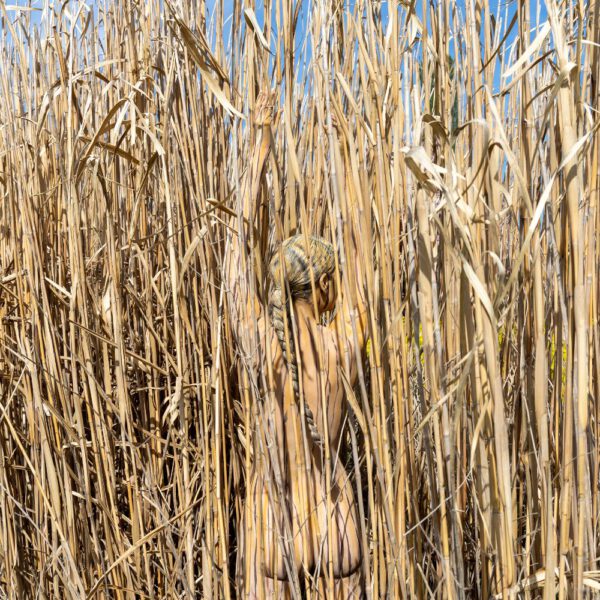 Schilf-Motiv von dem Körperkunstprojekt NATURE ART des Künstlers Jörg Düsterwald mit einem bemalten Fotomodell.