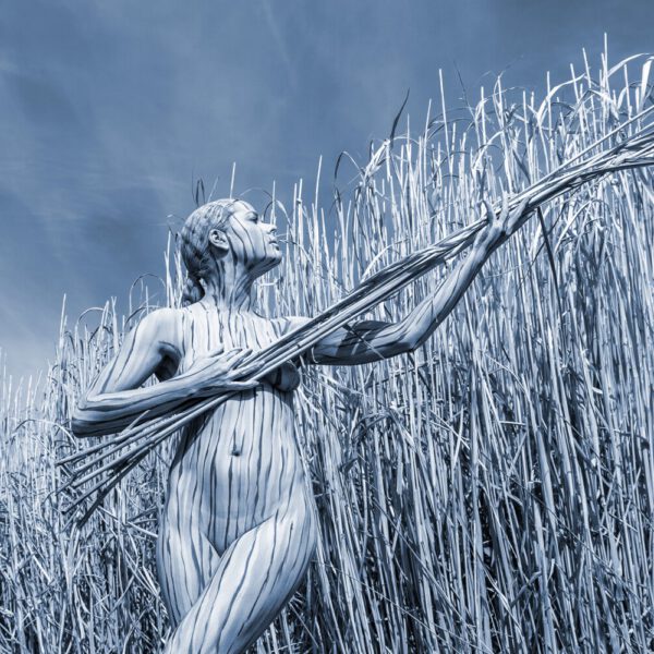 Schilf-Motiv von dem Körperkunstprojekt NATURE ART des Künstlers Jörg Düsterwald mit einem bemalten Fotomodell.