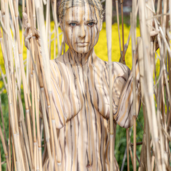 Schilf-Motiv von dem Körperkunstprojekt NATURE ART des Künstlers Jörg Düsterwald mit einem bemalten Fotomodell.