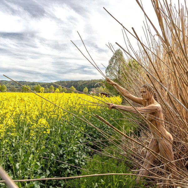 Schilf-Motiv von dem Körperkunstprojekt NATURE ART des Künstlers Jörg Düsterwald mit einem bemalten Fotomodell.