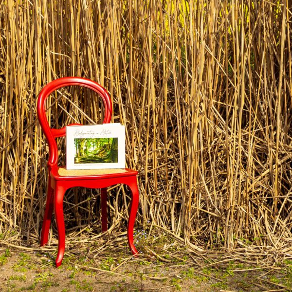 Das Buch BODYPAINTING IN NATURE von Künstler Jörg Düsterwald wird mit einem roten Stuhl an einem Originalplatz des Kunstprojektes NATURE ART gezeigt.