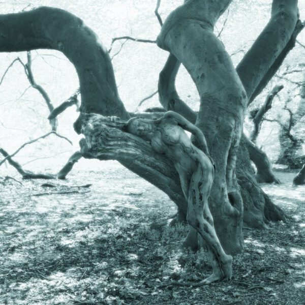 Süntelbuchen-Motiv von dem Körperkunstprojekt NATURE ART des Künstlers Jörg Düsterwald mit einem Bodypaintingmodell.