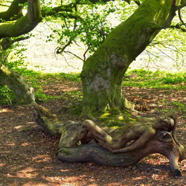 Süntelbuchen-Motiv von dem Körperkunstprojekt NATURE ART des Künstlers Jörg Düsterwald mit einem Bodypaintingmodell.