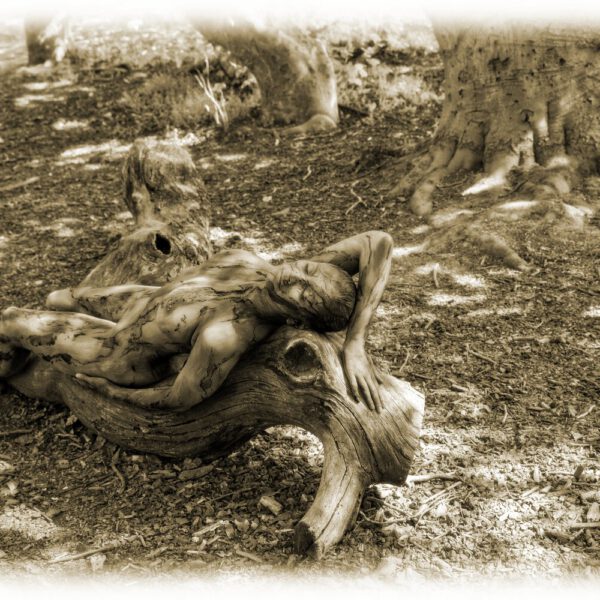 Süntelbuchen-Motiv von dem Körperkunstprojekt NATURE ART des Künstlers Jörg Düsterwald mit einem Bodypaintingmodell.