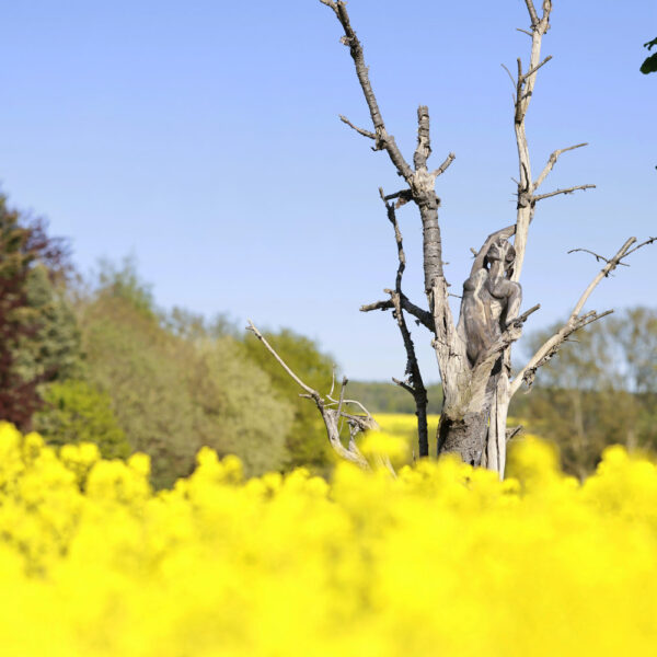 Baum-Motiv von dem Körperkunstprojekt NATURE ART des Künstlers Jörg Düsterwald mit einem bemalten Fotomodell.