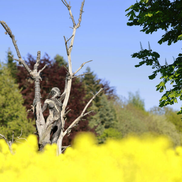 Baum-Motiv von dem Körperkunstprojekt NATURE ART des Künstlers Jörg Düsterwald mit einem bemalten Fotomodell.