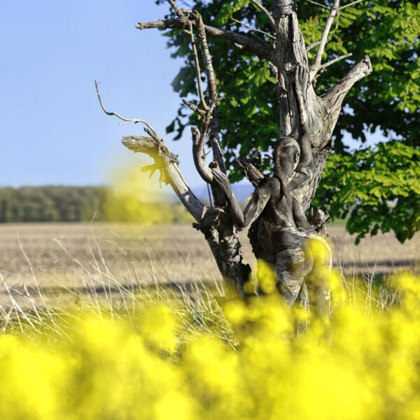 Baum-Motiv von dem Körperkunstprojekt NATURE ART des Künstlers Jörg Düsterwald mit einem bemalten Fotomodell.