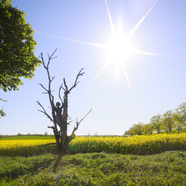 Baum-Motiv von dem Körperkunstprojekt NATURE ART des Künstlers Jörg Düsterwald mit einem bemalten Fotomodell.