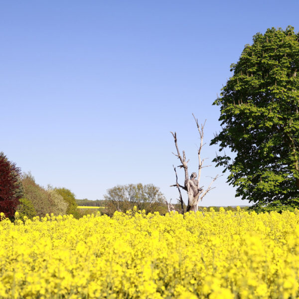 Baum-Motiv von dem Körperkunstprojekt NATURE ART des Künstlers Jörg Düsterwald mit einem bemalten Fotomodell.
