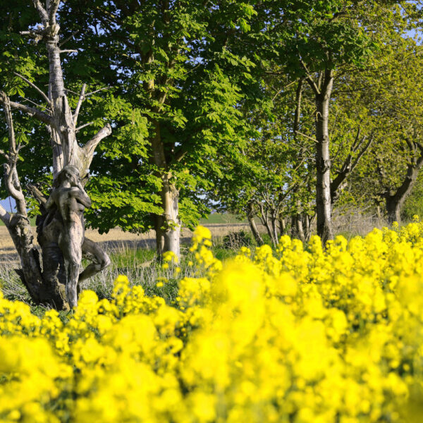 Baum-Motiv von dem Körperkunstprojekt NATURE ART des Künstlers Jörg Düsterwald mit einem bemalten Fotomodell.