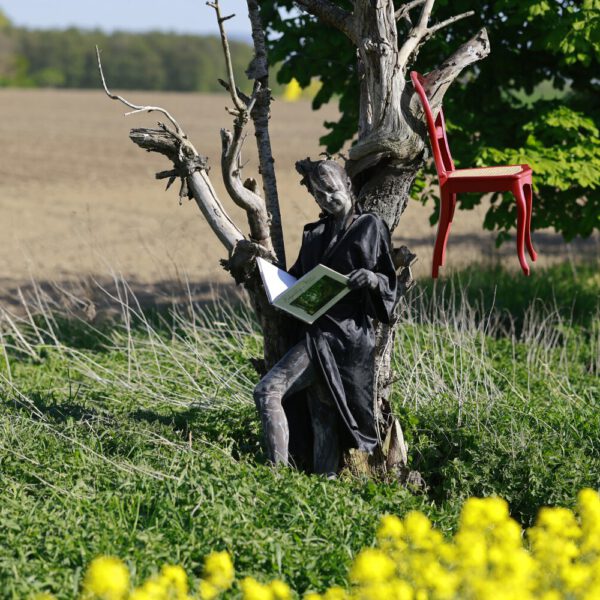 Das Buch BODYPAINTING IN NATURE von Künstler Jörg Düsterwald wird mit einem roten Stuhl an einem Originalplatz des Kunstprojektes NATURE ART gezeigt.