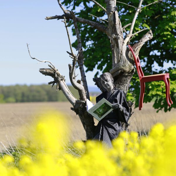 Das Buch BODYPAINTING IN NATURE von Künstler Jörg Düsterwald wird mit einem roten Stuhl an einem Originalplatz des Kunstprojektes NATURE ART gezeigt.
