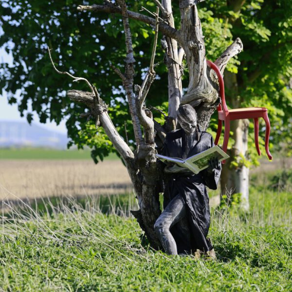Das Buch BODYPAINTING IN NATURE von Künstler Jörg Düsterwald wird mit einem roten Stuhl an einem Originalplatz des Kunstprojektes NATURE ART gezeigt.