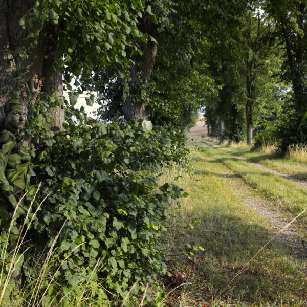 Allee-Motiv von dem Körperkunstprojekt NATURE ART des Künstlers Jörg Düsterwald mit einem bemalten Fotomodell.