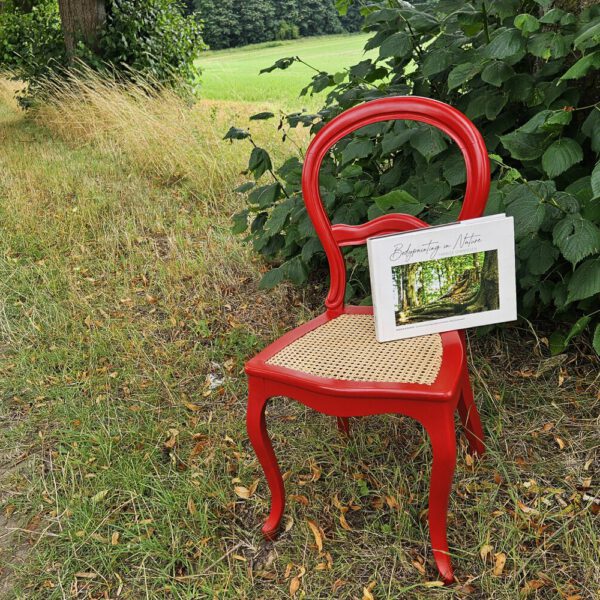 Das Buch BODYPAINTING IN NATURE von Künstler Jörg Düsterwald wird mit einem roten Stuhl an einem Originalplatz des Kunstprojektes NATURE ART gezeigt.