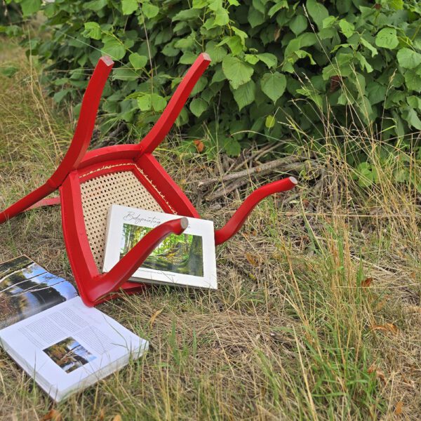 Das Buch BODYPAINTING IN NATURE von Künstler Jörg Düsterwald wird mit einem roten Stuhl an einem Originalplatz des Kunstprojektes NATURE ART gezeigt.