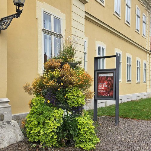 Das Schloßmuseum Arnstadt in Thüringen präsentiert in einer Sonderausstellung das Thema Bodypainting mit Künstler Jörg Düsterwald.