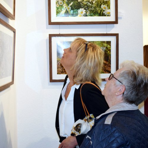 Besucherinnen und Besucher betrachten Bilder von Künstler Jörg Düsterwald, die in einer Ausstellung präsentiert werden.